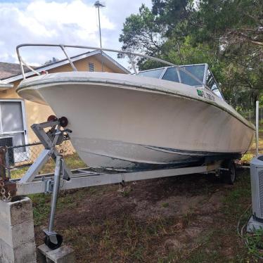1979 Wellcraft 20ft boat
