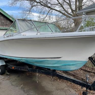 1975 Wellcraft 20ft boat