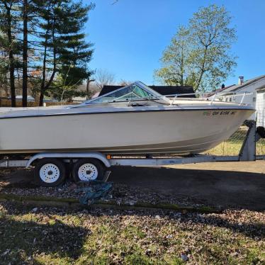 1979 Wellcraft 19ft boat