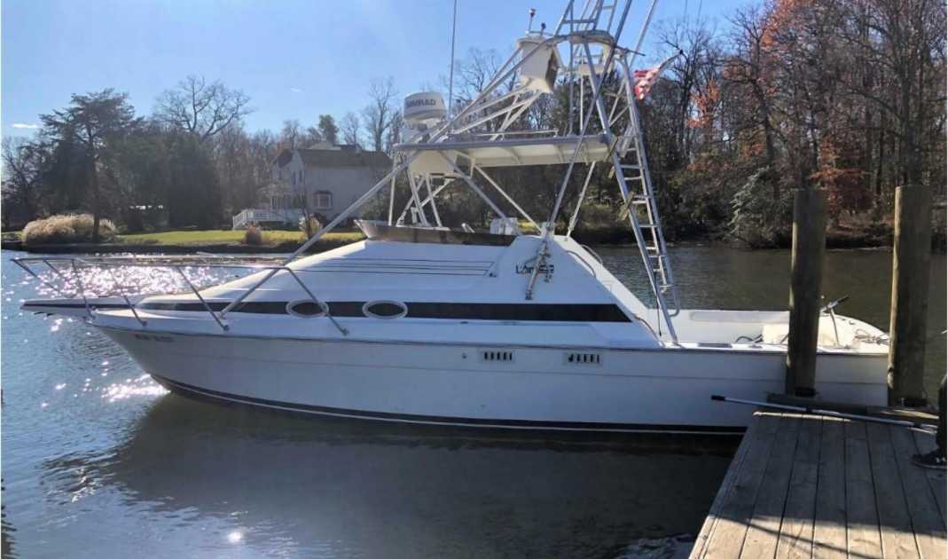 1988 Luhrs 290 express sportfish with tower