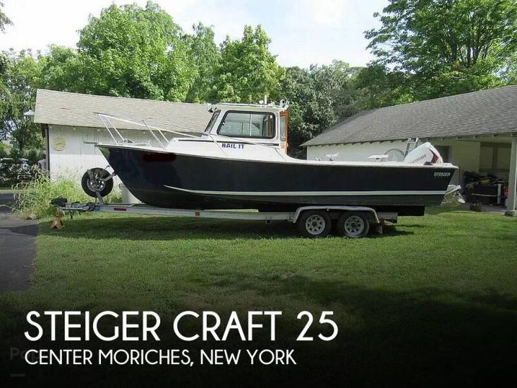 1989 Steiger Craft 25 chesapeake